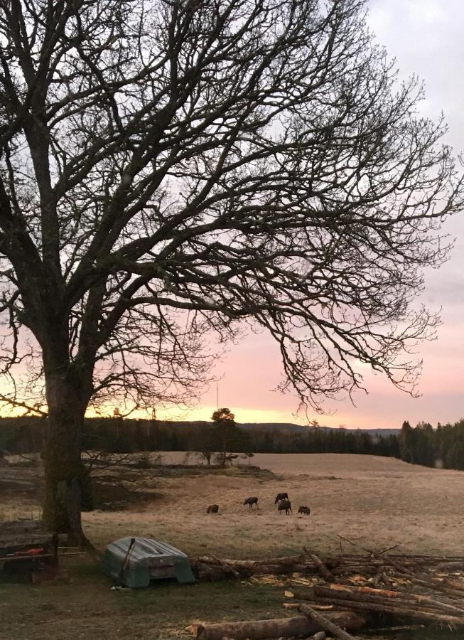 Stuga Vid Viltaker Naera Norska Graensen Strömstad Kültér fotó